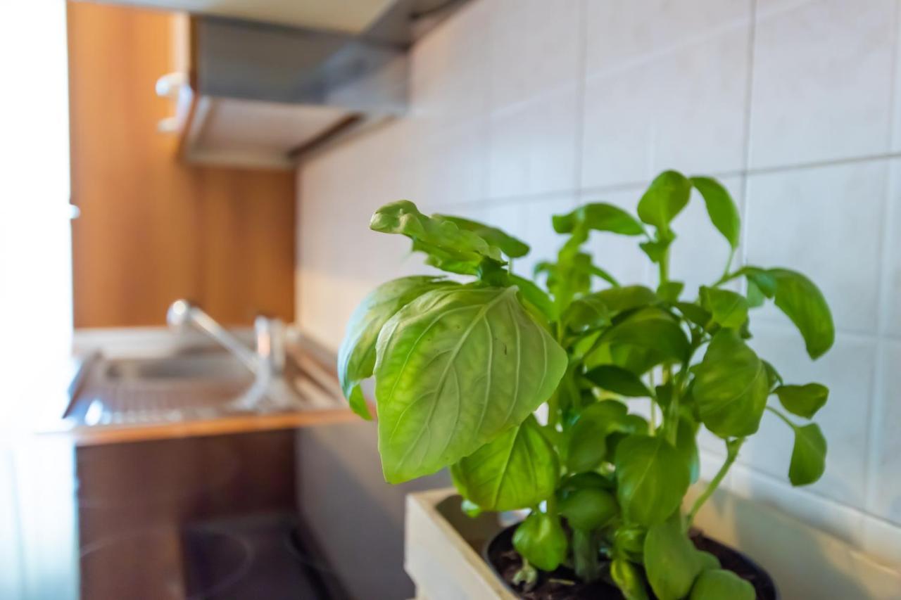 Apartment Marialuisa's - Le Rive Del